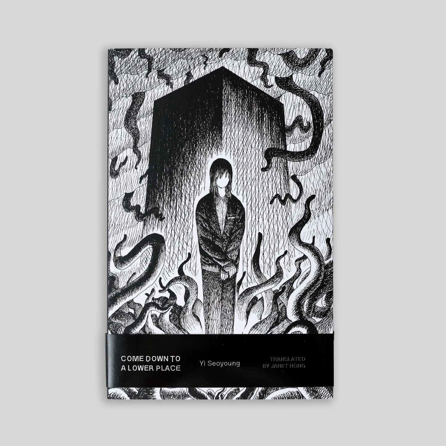 Come Down to a Lower Place (Pre-order)