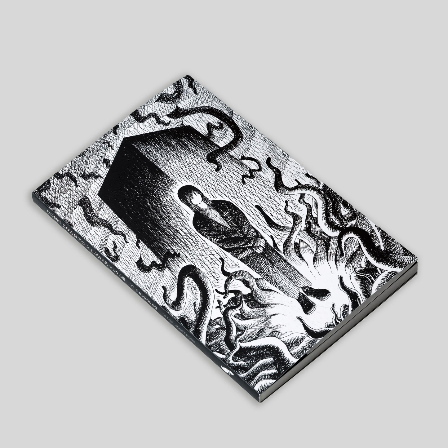 Come Down to a Lower Place (Pre-order)