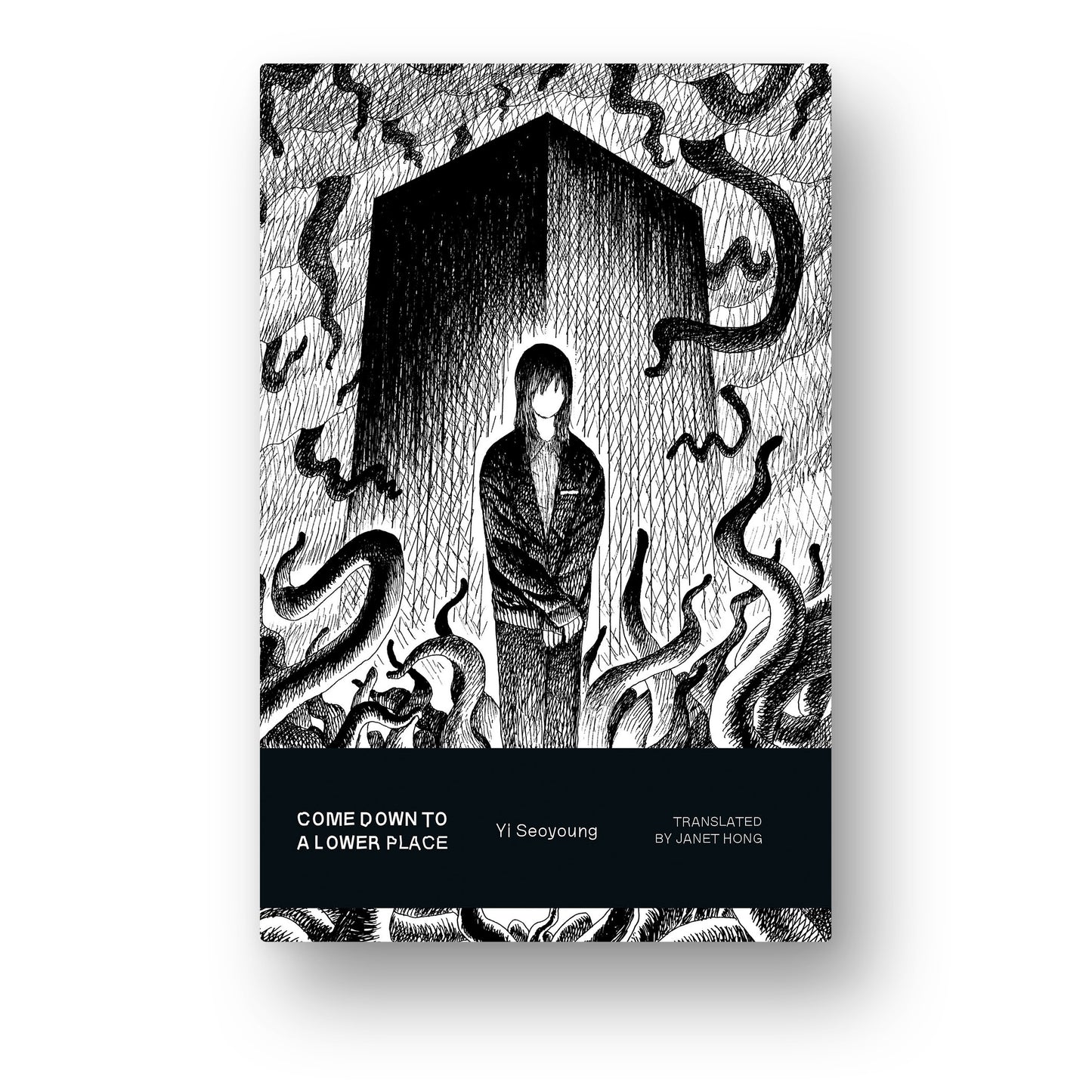 Come Down to a Lower Place (Pre-order)